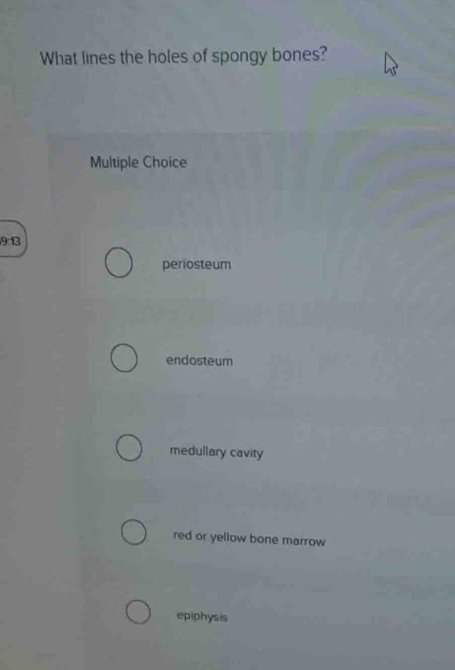 what lines the holes of spongy bones? multiple choice periosteum endost…