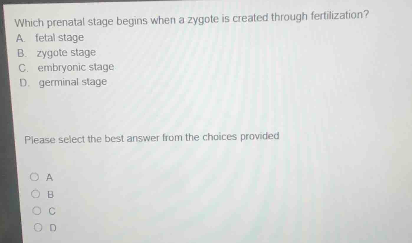 which prenatal stage begins when a zygote is created through fertilizat…