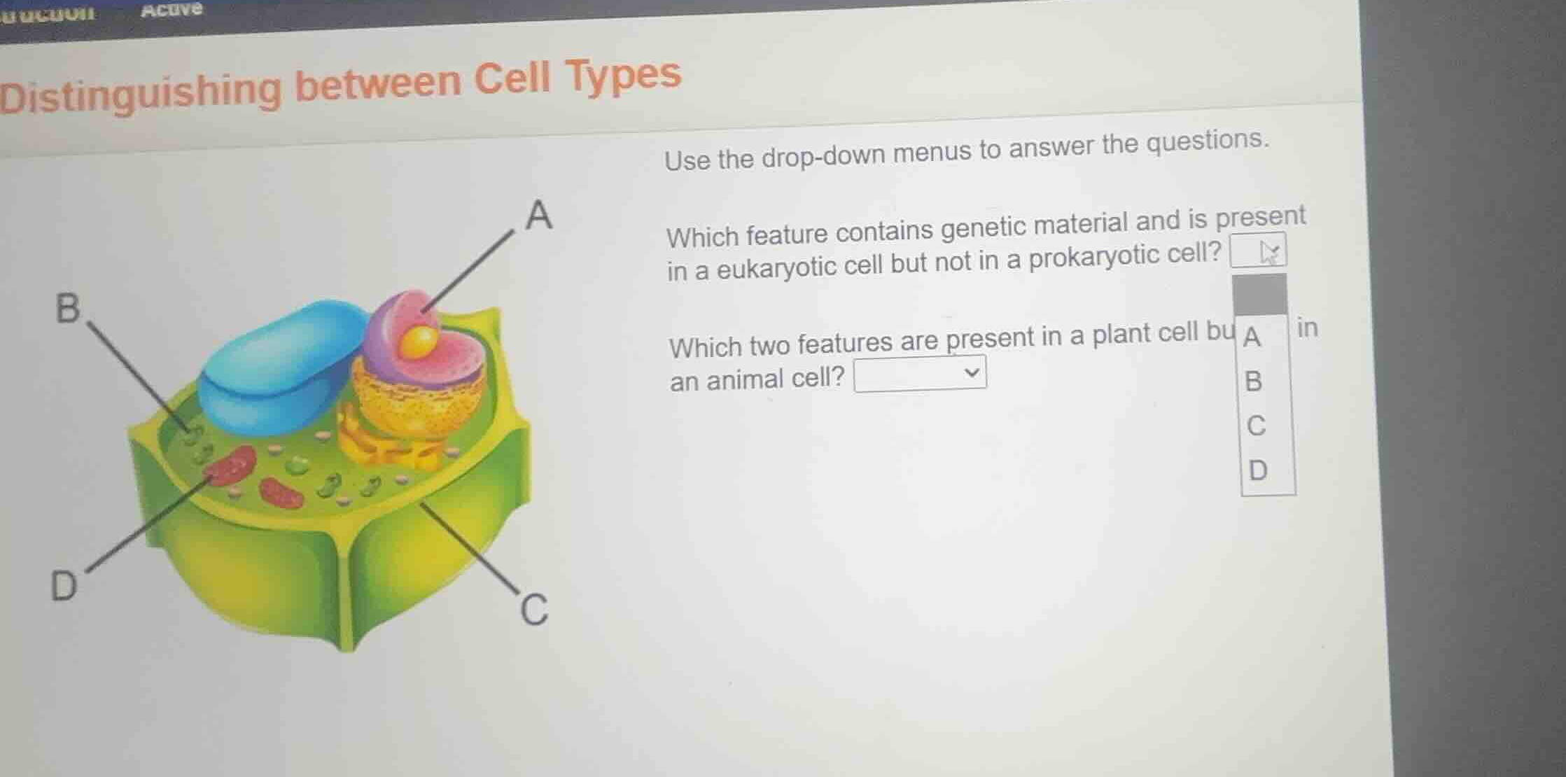 distinguishing between cell types use the drop-down menus to answer the…