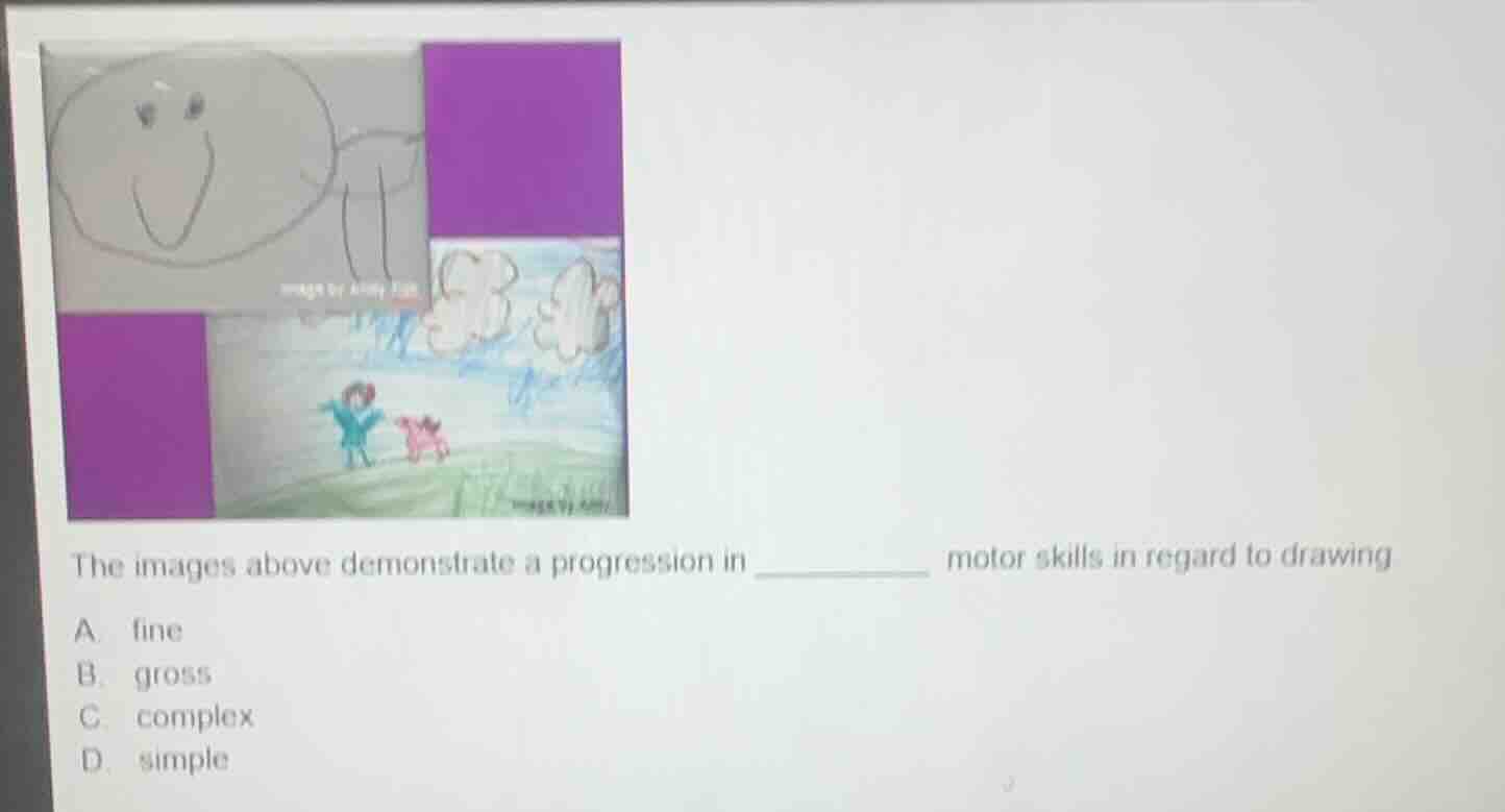 the images above demonstrate a progression in _________ motor skills in…