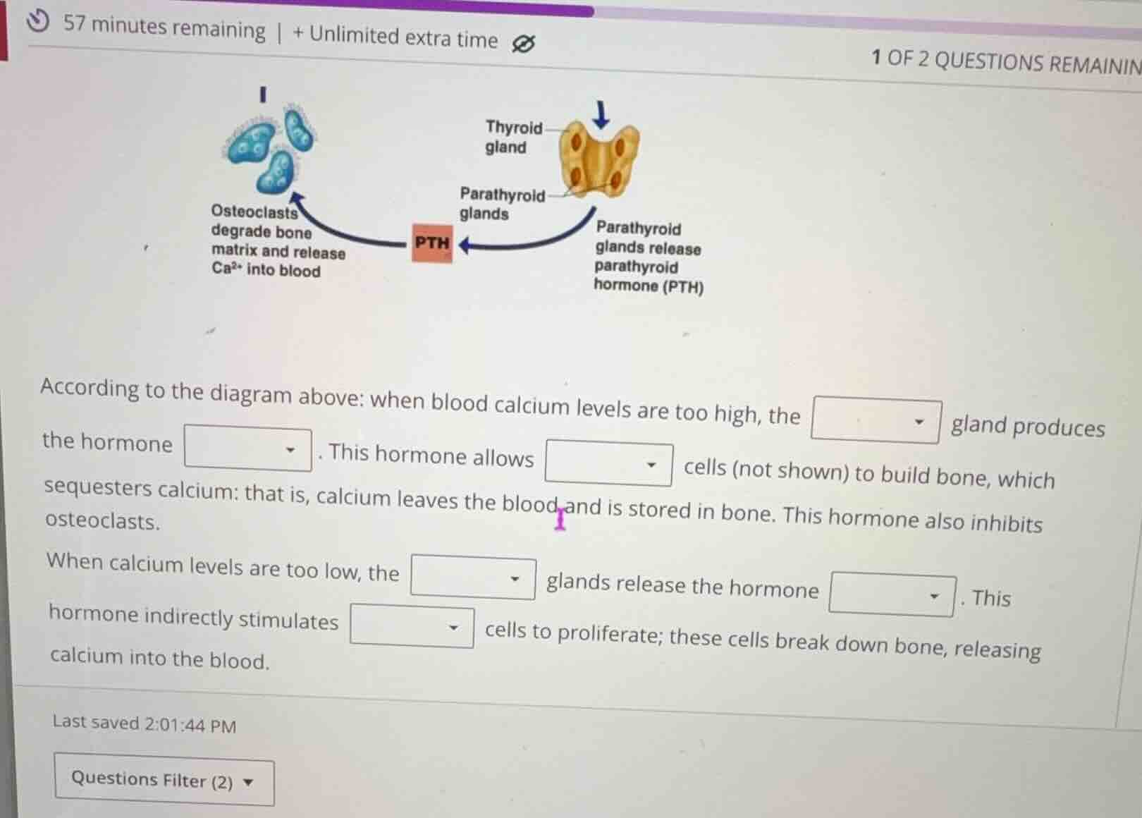 according to the diagram above: when blood calcium levels are too high,…