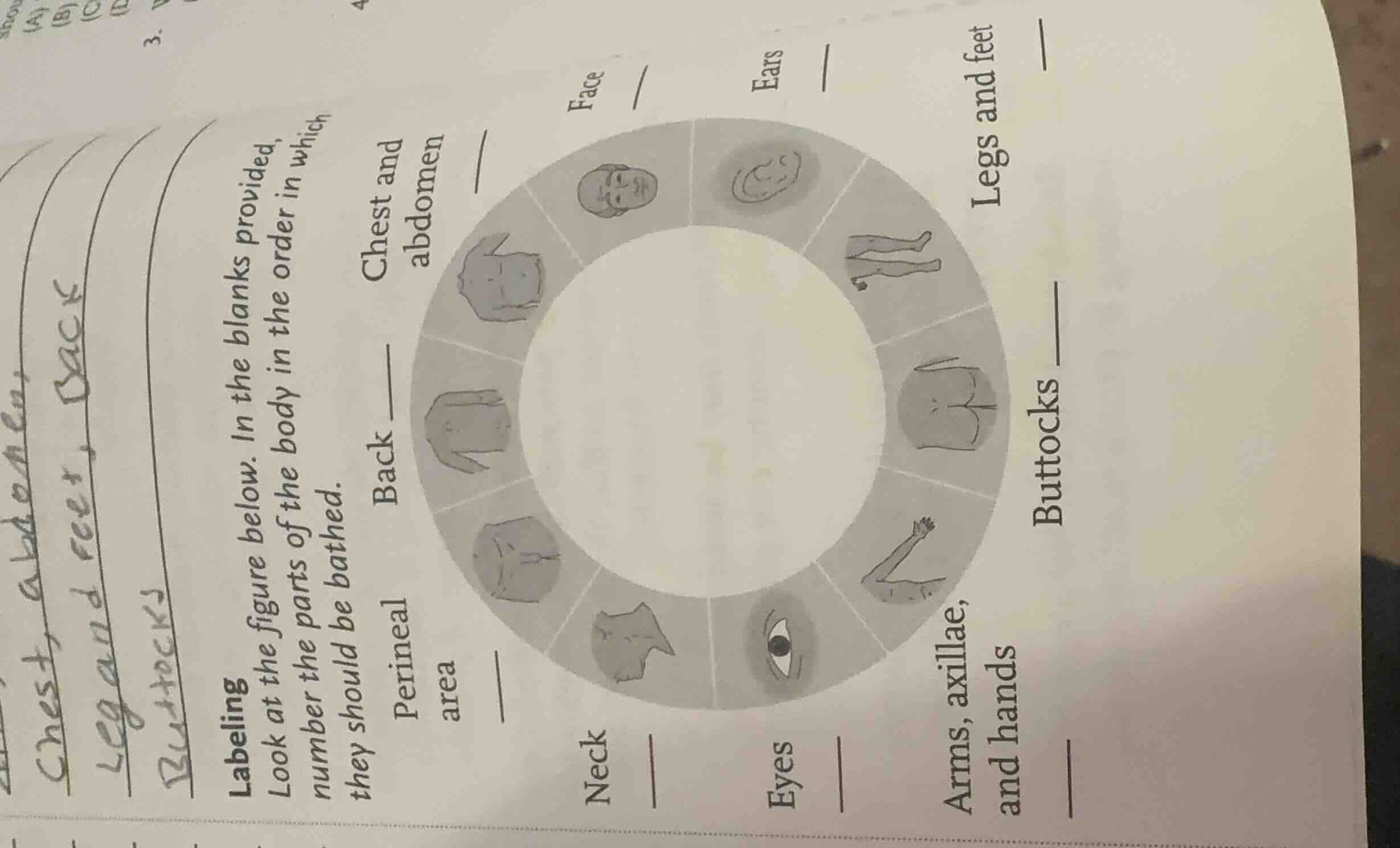 labeling look at the figure below. in the blanks provided, number the p…