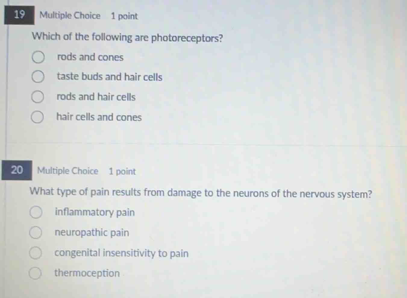 19 multiple choice 1 point which of the following are photoreceptors? r…