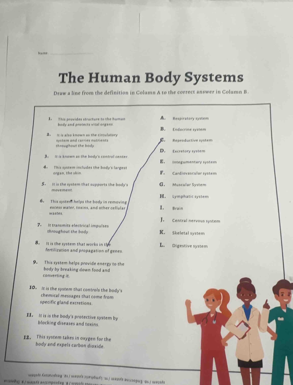 the human body systems draw a line from the definition in column a to t…