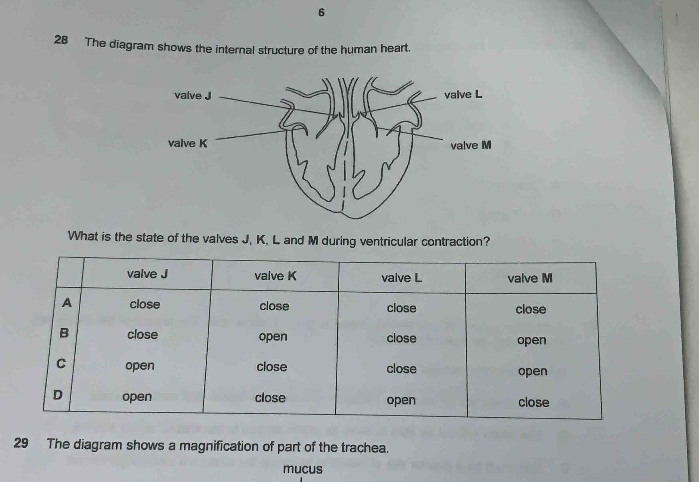 28 the diagram shows the internal structure of the human heart. what is…
