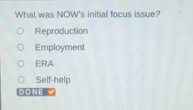 what was nows initial focus issue? - reproduction - employment - era - …