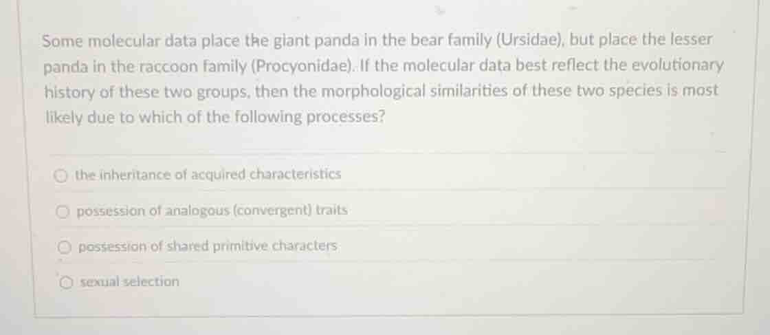 some molecular data place the giant panda in the bear family (ursidae),…