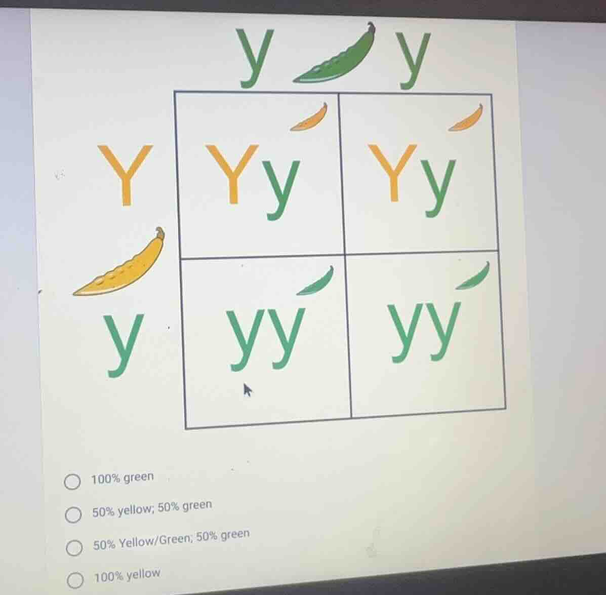 y y y yy yy y yy yy 100% green 50% yellow; 50% green 50% yellow/green; …