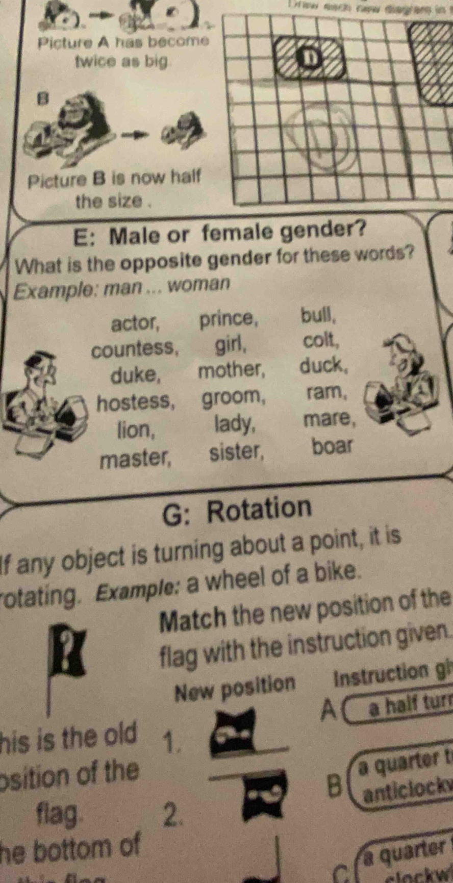 e: male or female gender? what is the opposite gender for these words? …