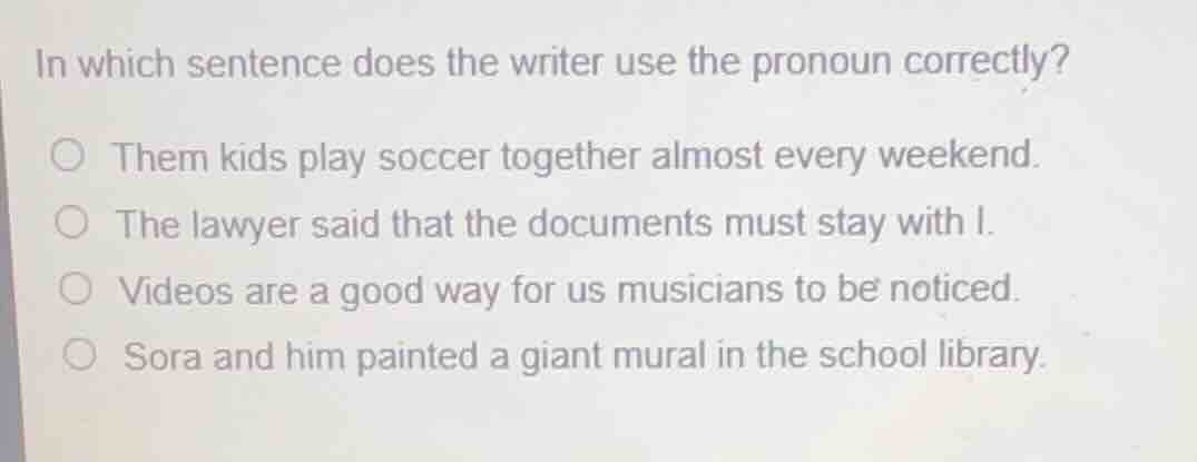 in which sentence does the writer use the pronoun correctly? them kids …