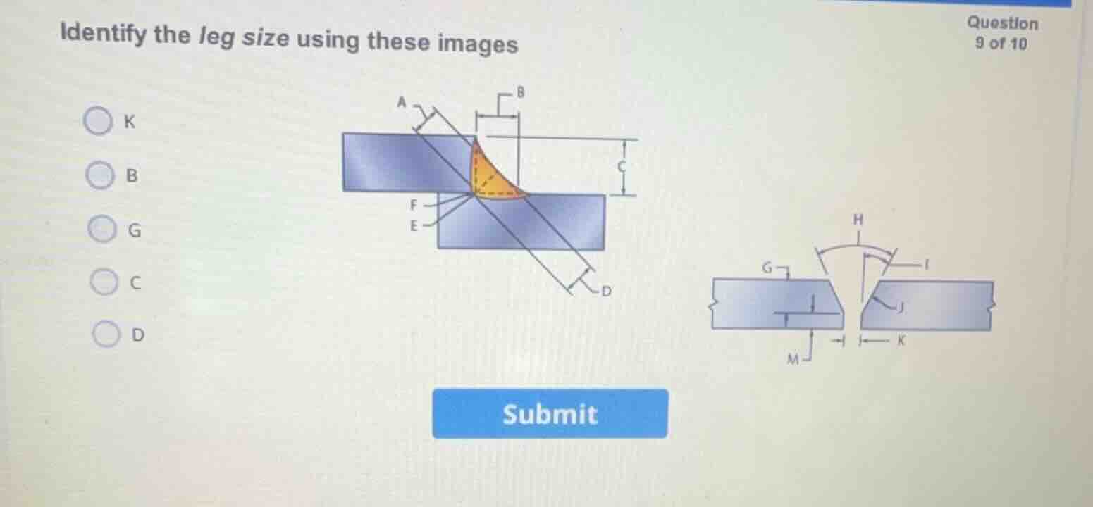 identify the leg size using these images question 9 of 10 k b g c d sub…