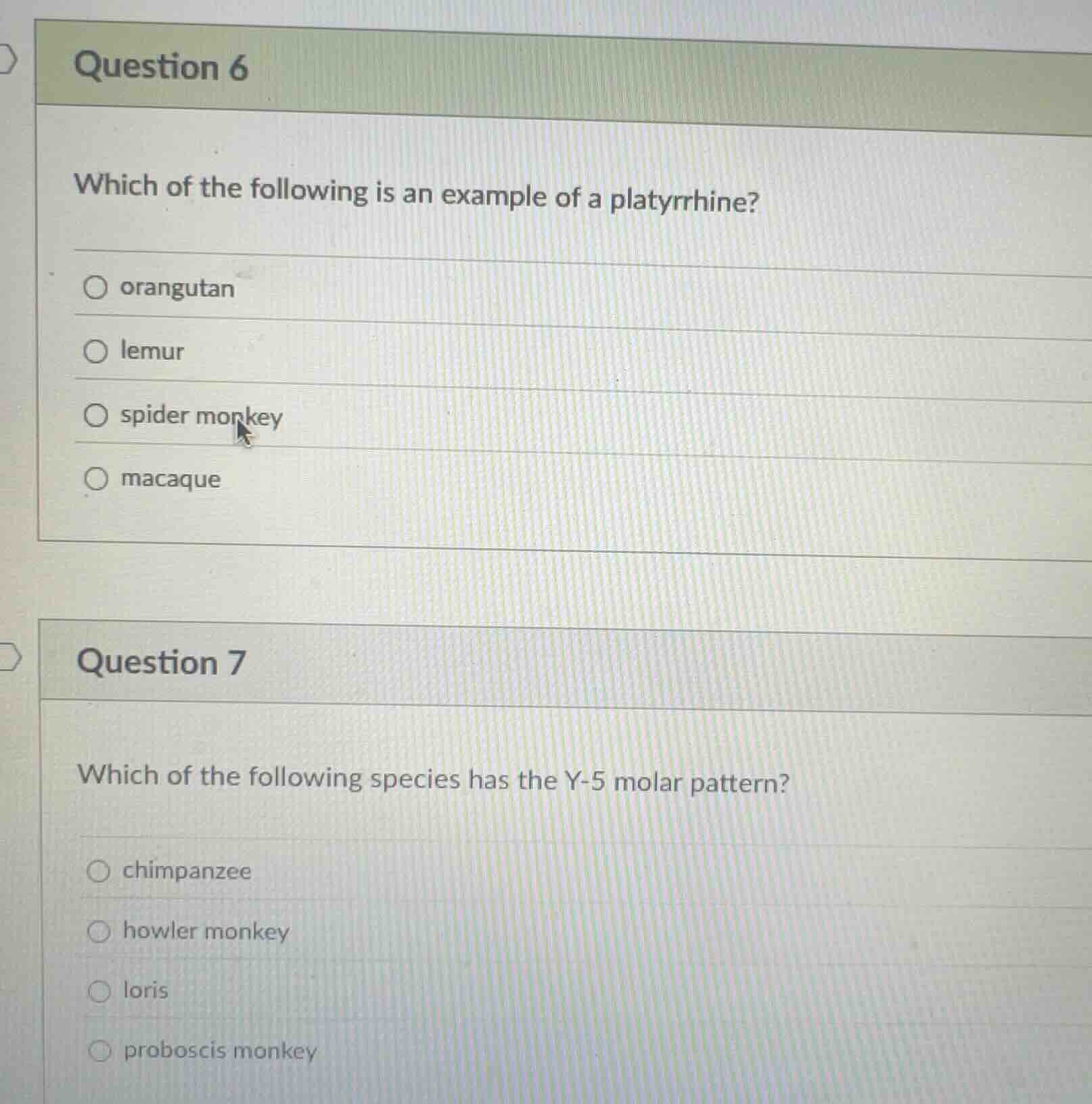 question 6 which of the following is an example of a platyrrhine? orang…