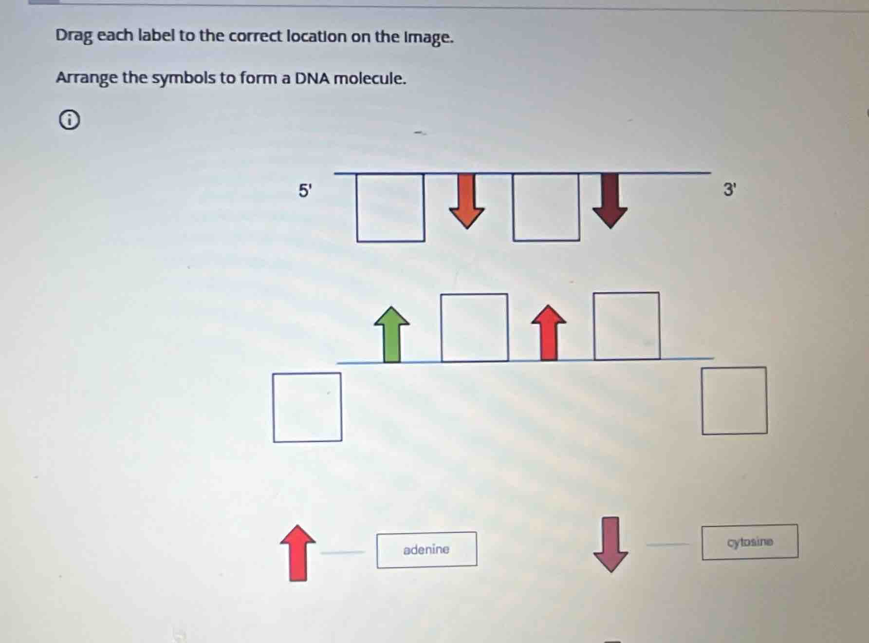 drag each label to the correct location on the image. arrange the symbo…