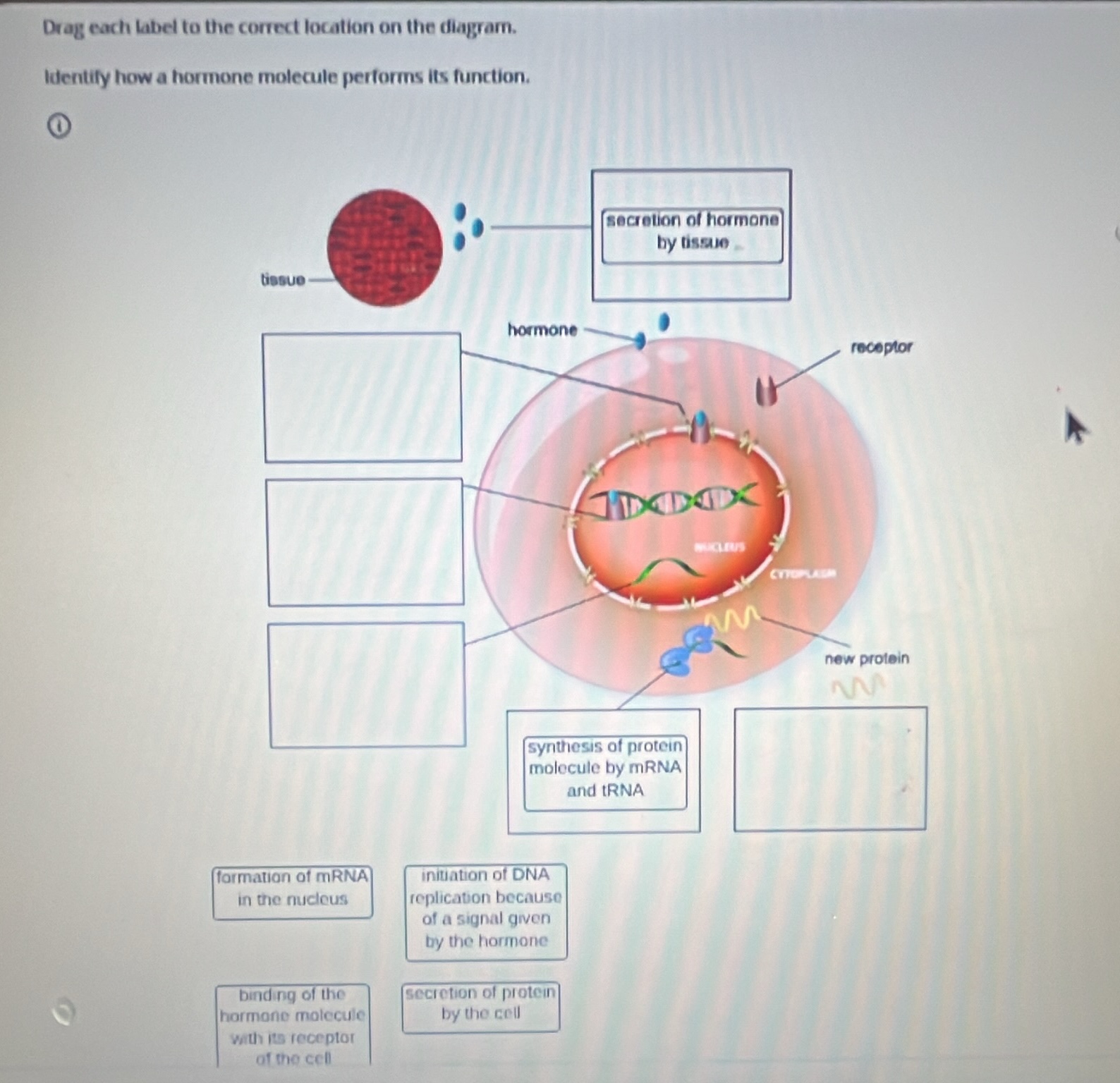 drag each label to the correct location on the diagram. identify how a …