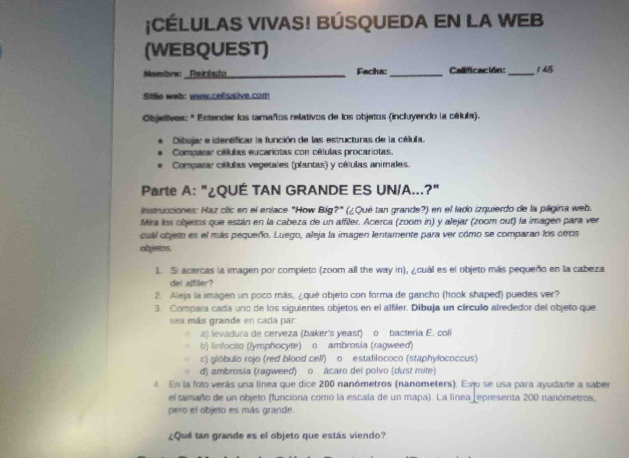 ¡células vivas! búsqueda en la web (webquest) nombre: reinaldo fecha: c…