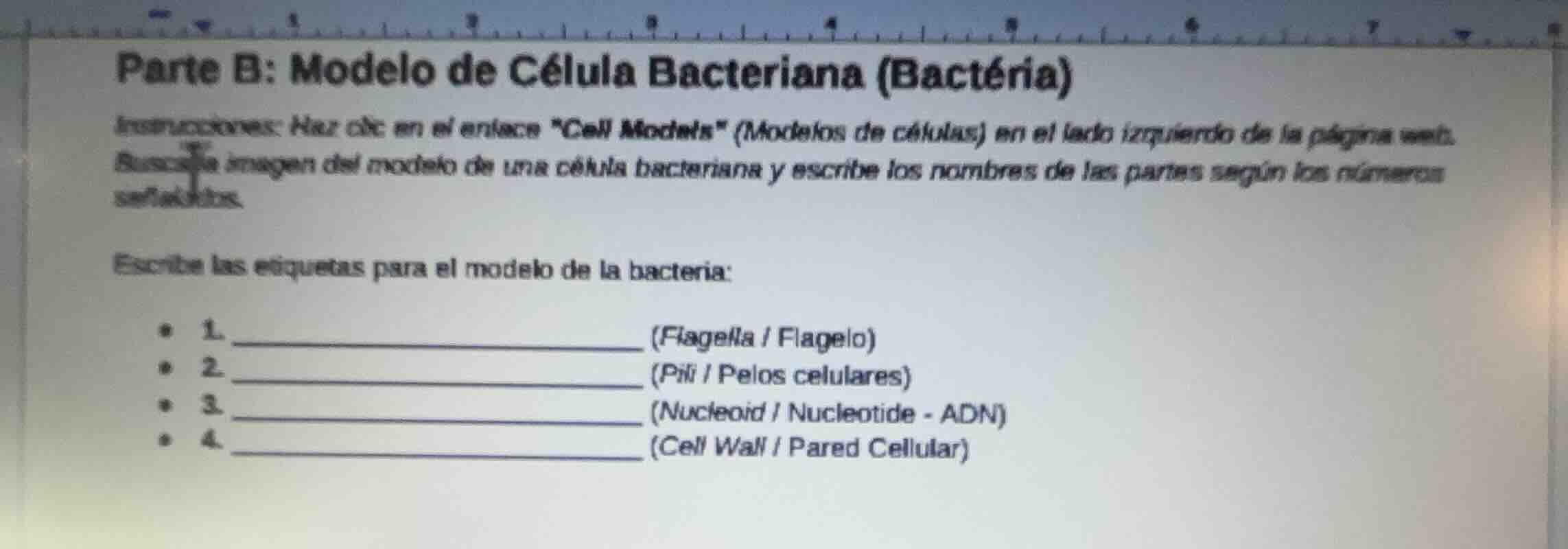 parte b: modelo de célula bacteriana (bactéria) instrucciones: haz clic…