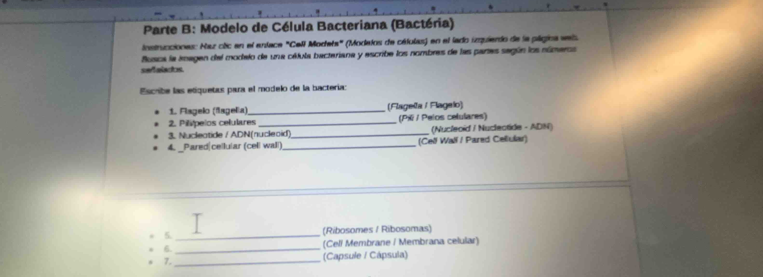 parte b: modelo de célula bacteriana (bactéria) instrucciones: haz clic…