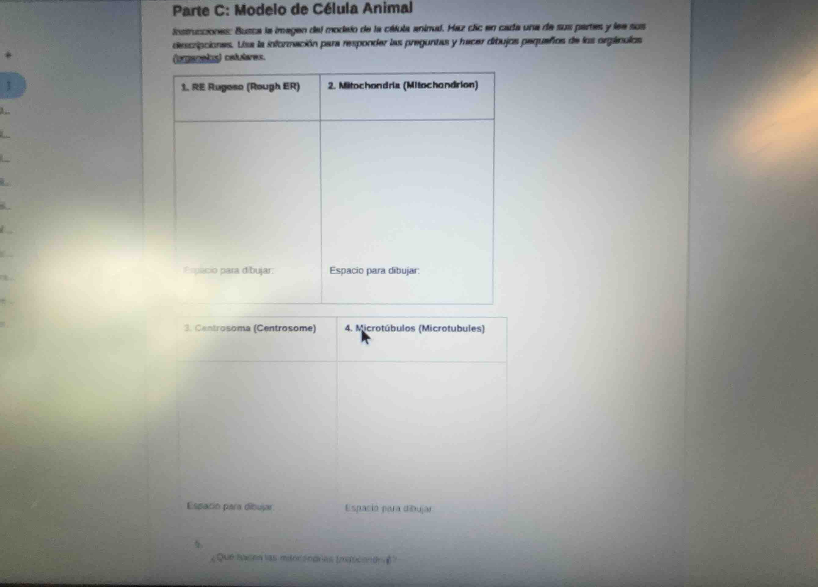 parte c: modelo de célula animal instrucciones: busca la imagen del mod…