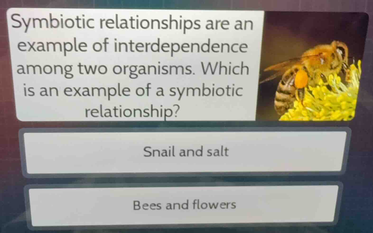 symbiotic relationships are an example of interdependence among two org…