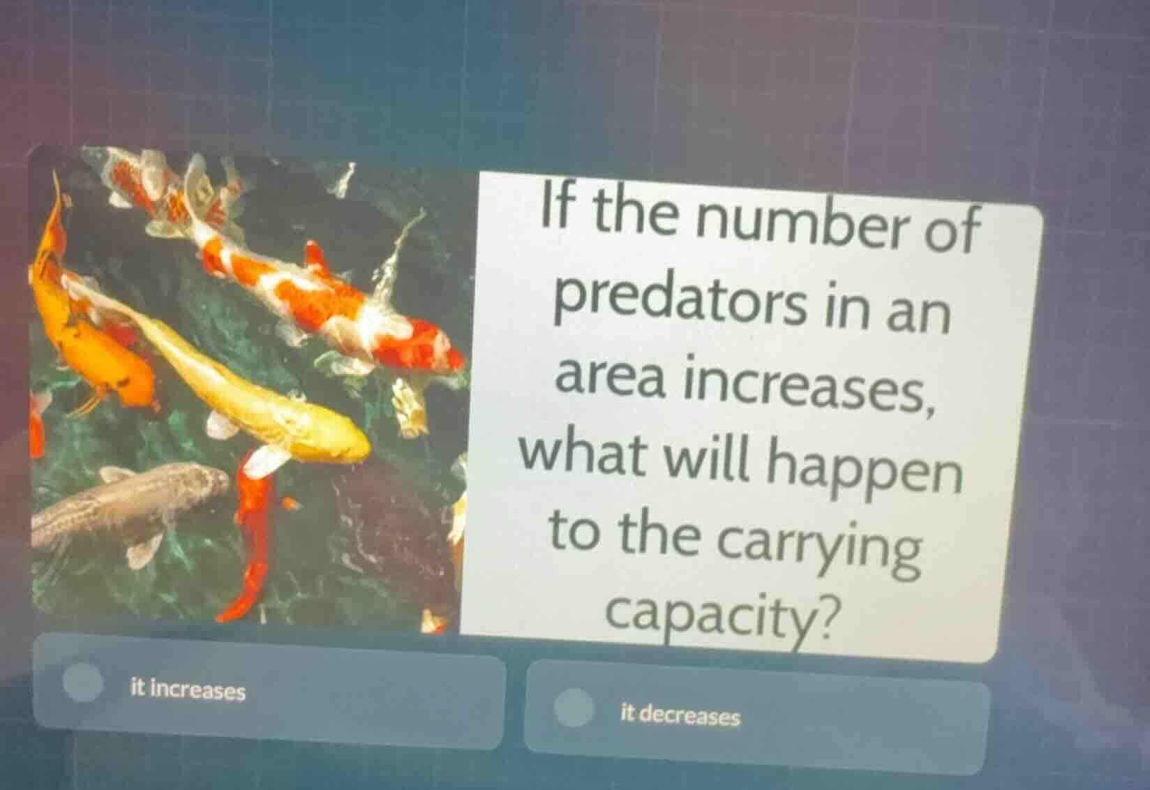 if the number of predators in an area increases, what will happen to th…