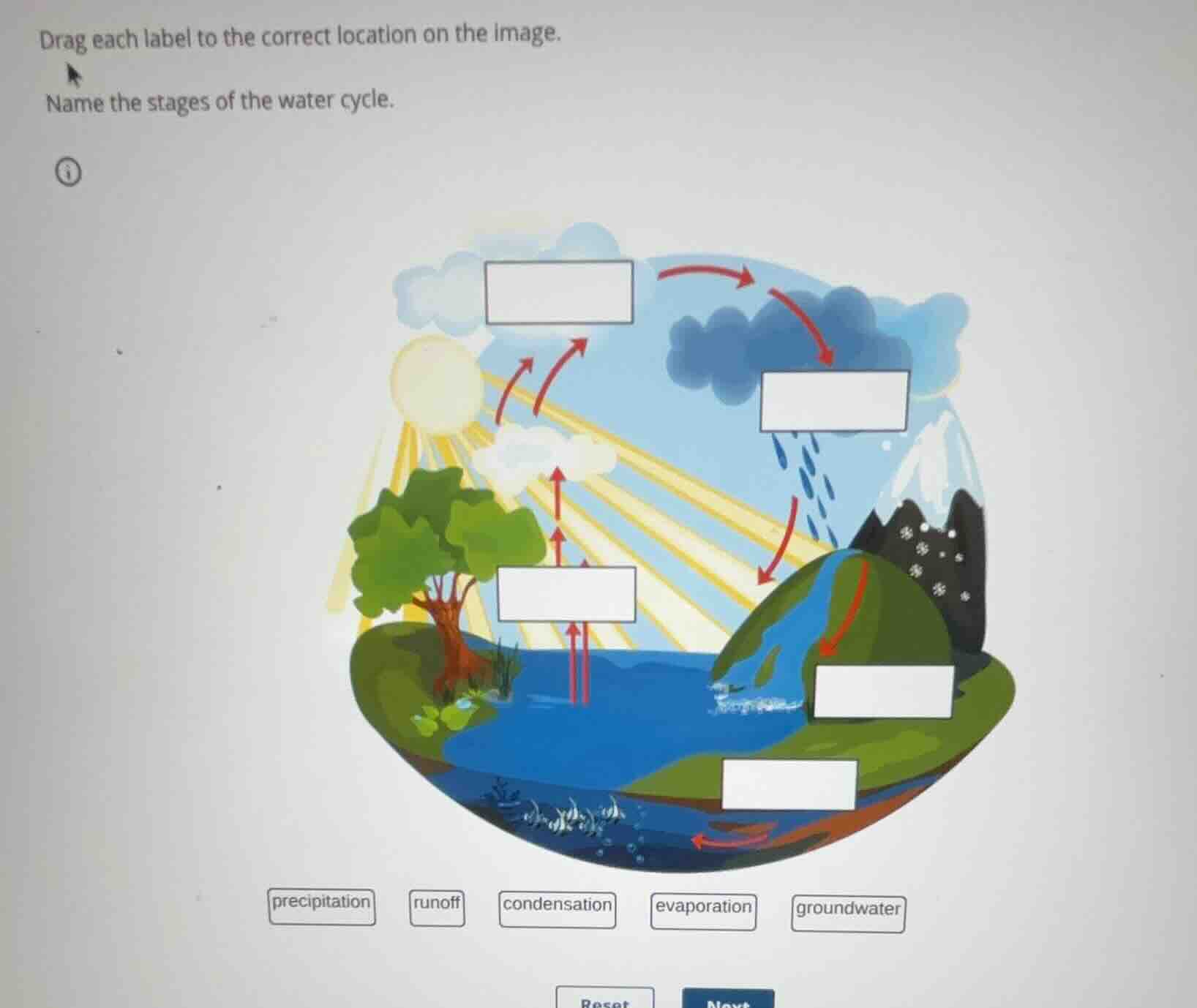 drag each label to the correct location on the image. name the stages o…