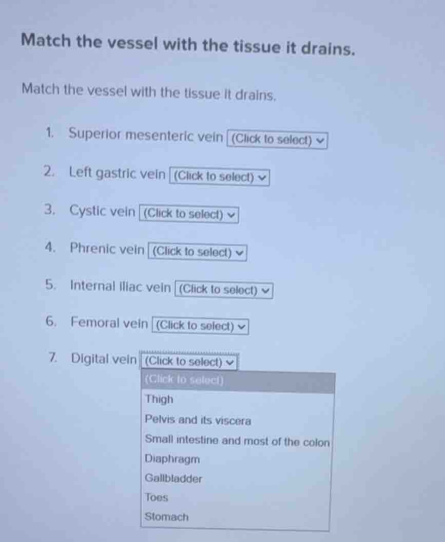 match the vessel with the tissue it drains. match the vessel with the t…