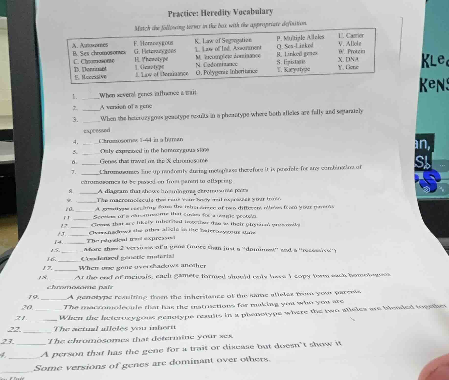 practice: heredity vocabulary match the following terms in the box with…
