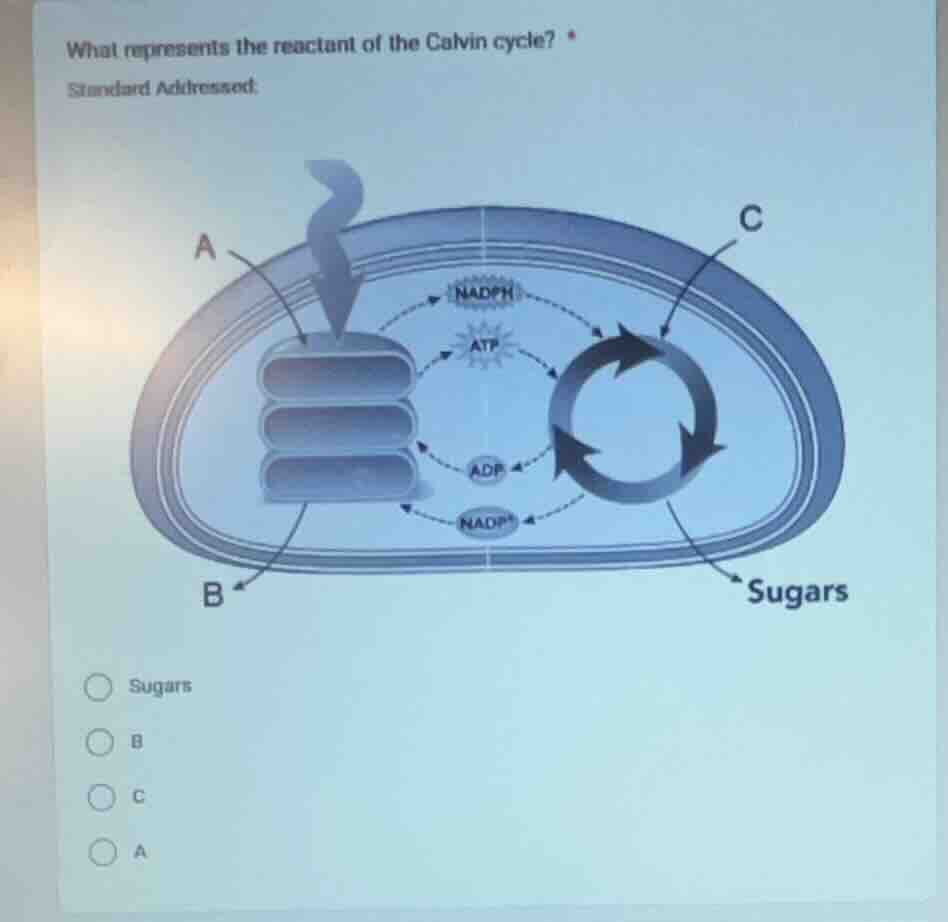what represents the reactant of the calvin cycle? * standard addressed:…