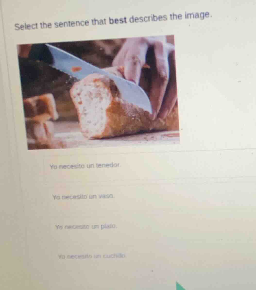select the sentence that best describes the image. yo necesito un tened…