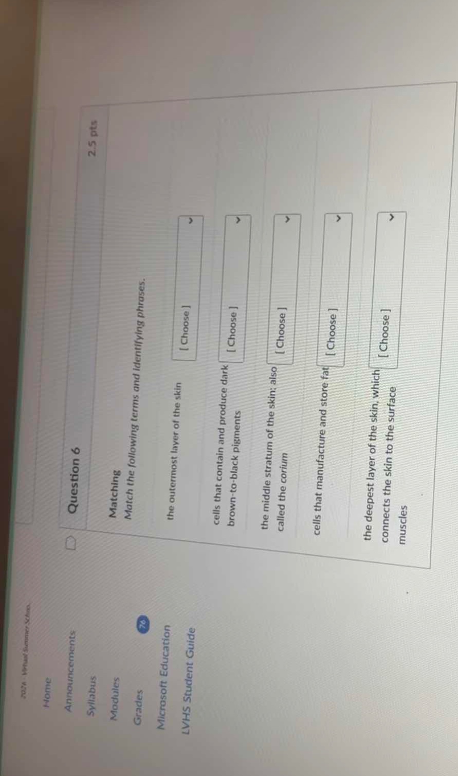 question 6 2.5 pts matching match the following terms and identifying p…
