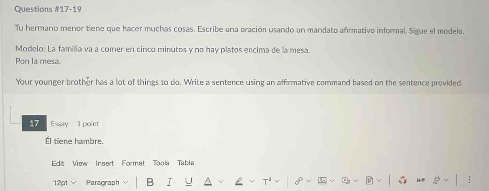 questions #17-19 tu hermano menor tiene que hacer muchas cosas. escribe…