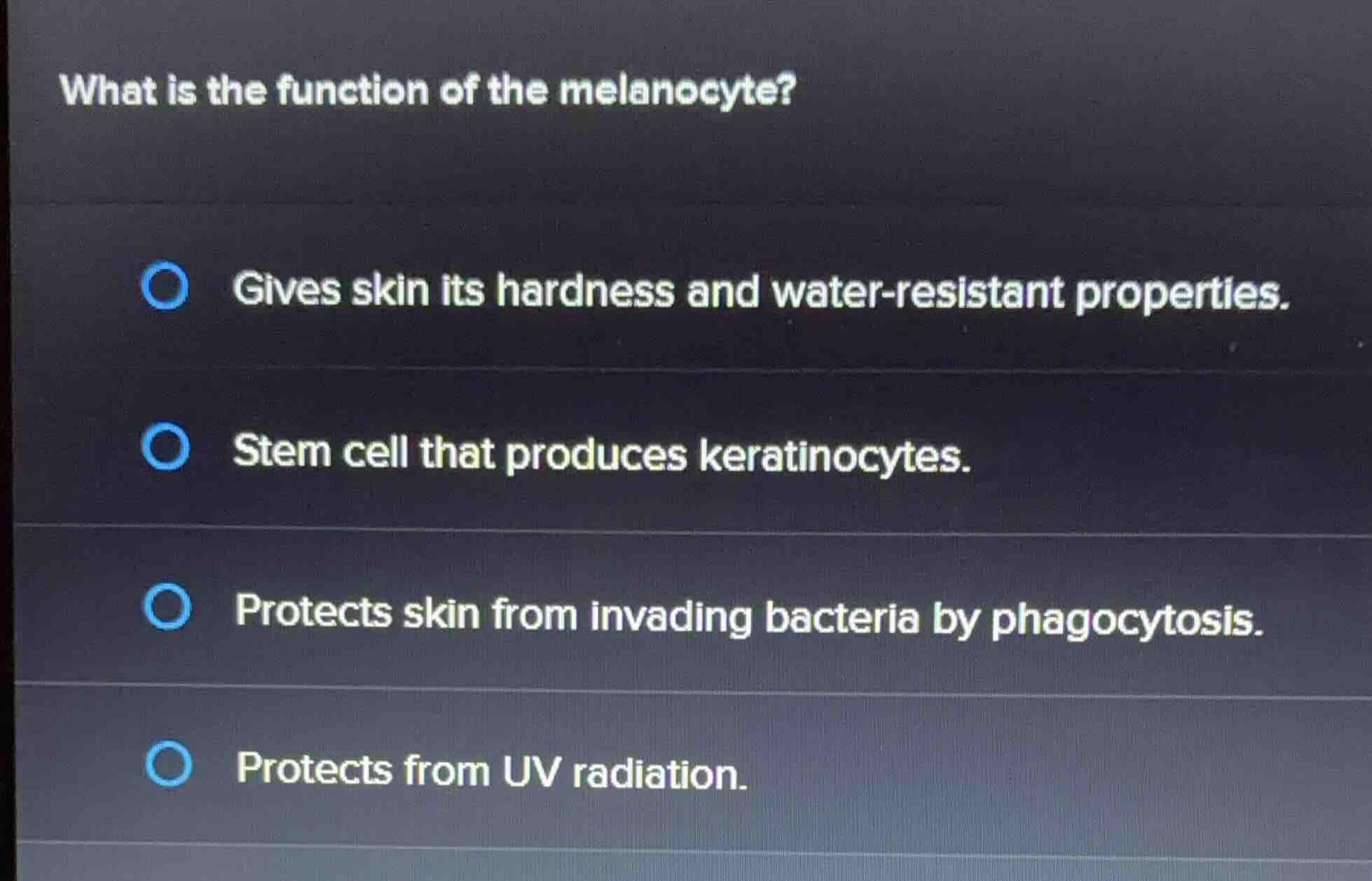 what is the function of the melanocyte? gives skin its hardness and wat…