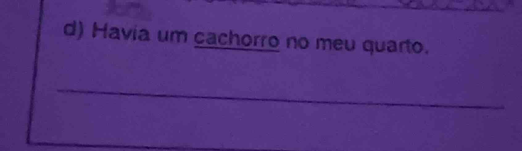 d) havia um cachorro no meu quarto.
