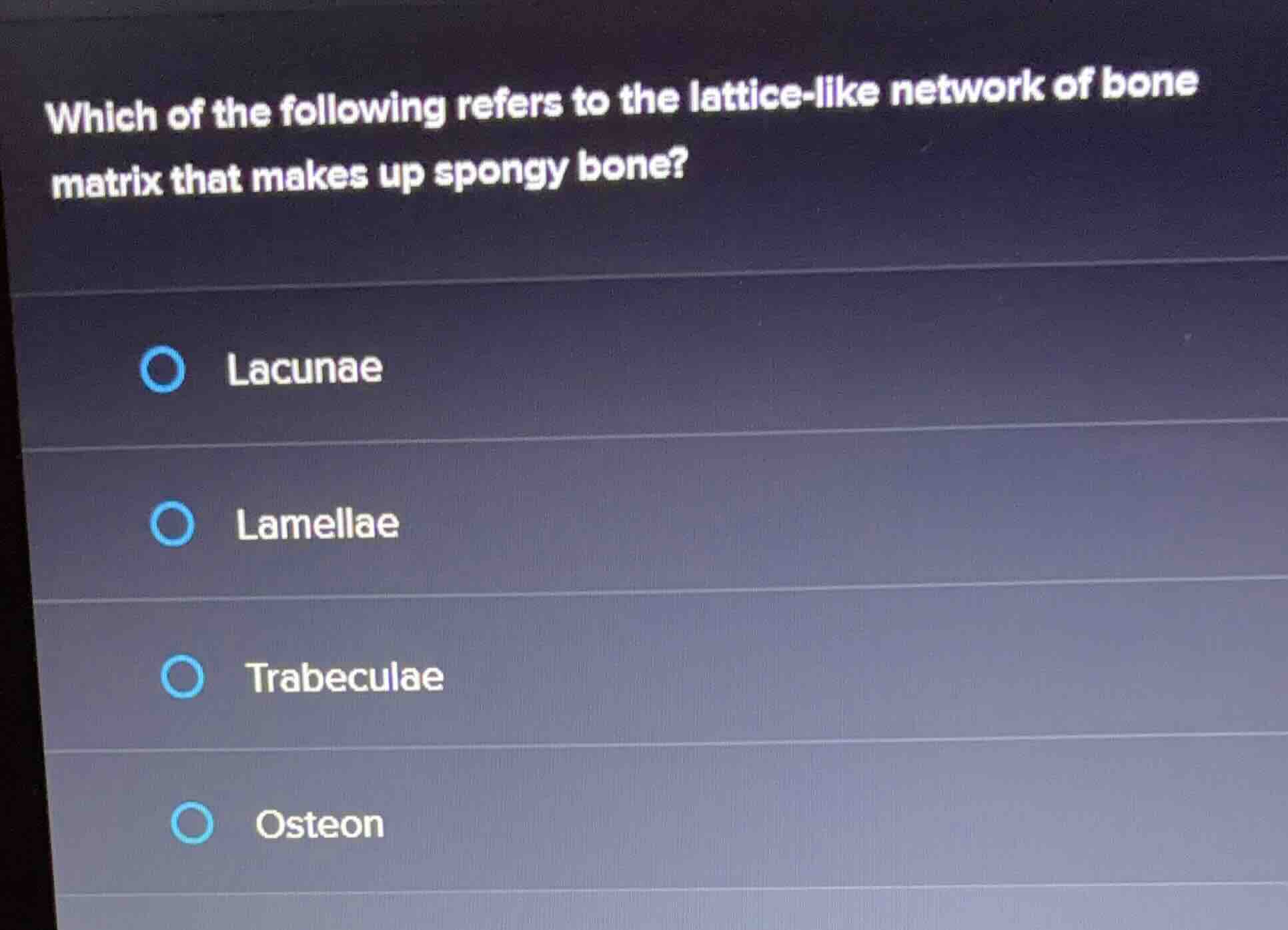 which of the following refers to the lattice-like network of bone matri…