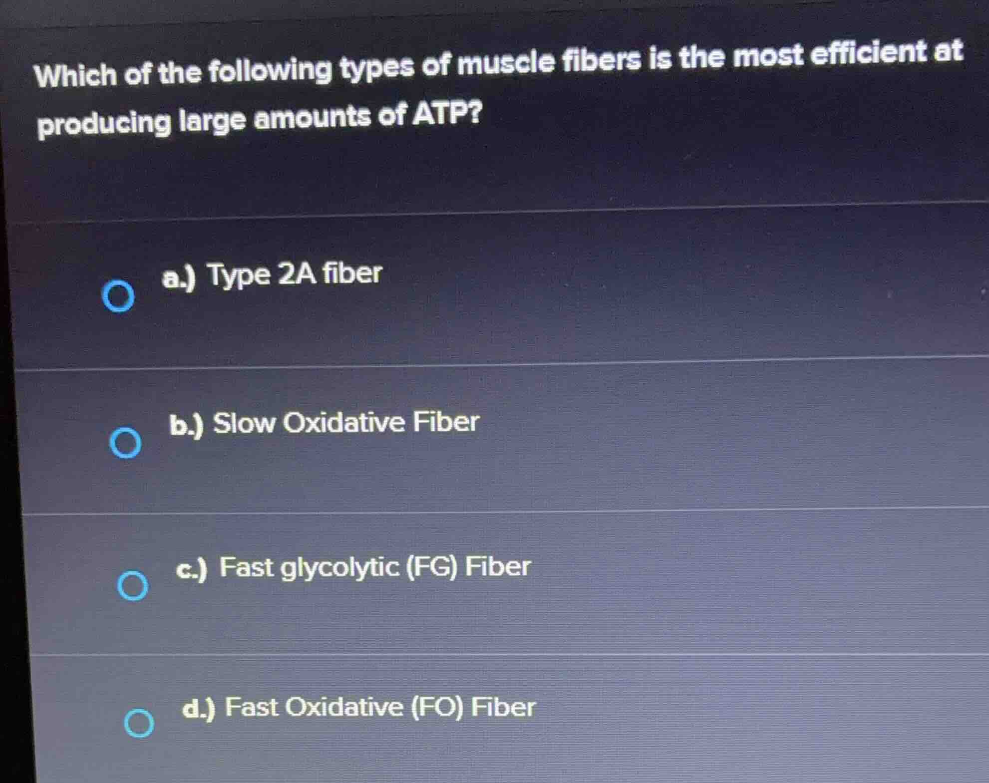 which of the following types of muscle fibers is the most efficient at …