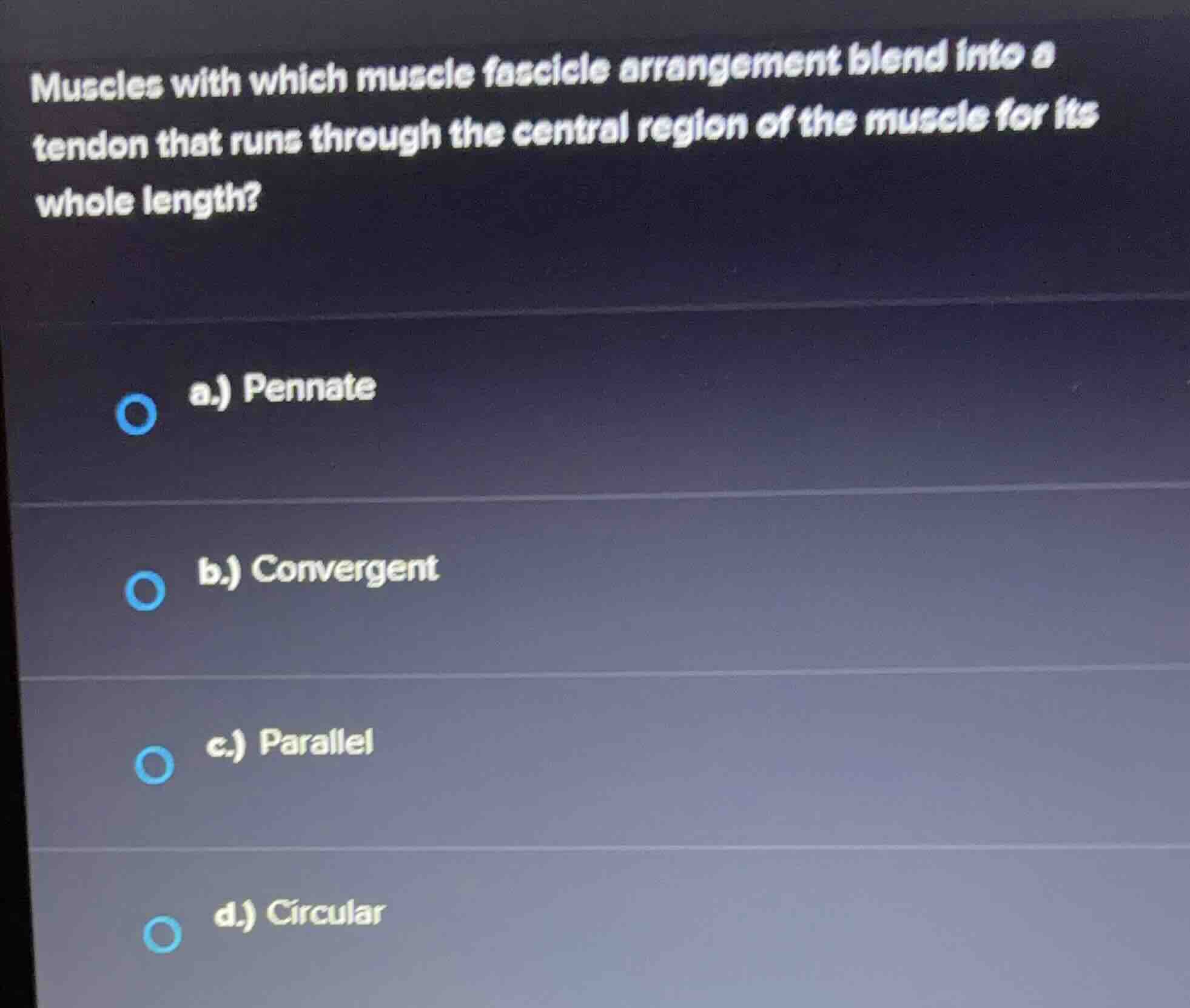 muscles with which muscle fascicle arrangement blend into a tendon that…