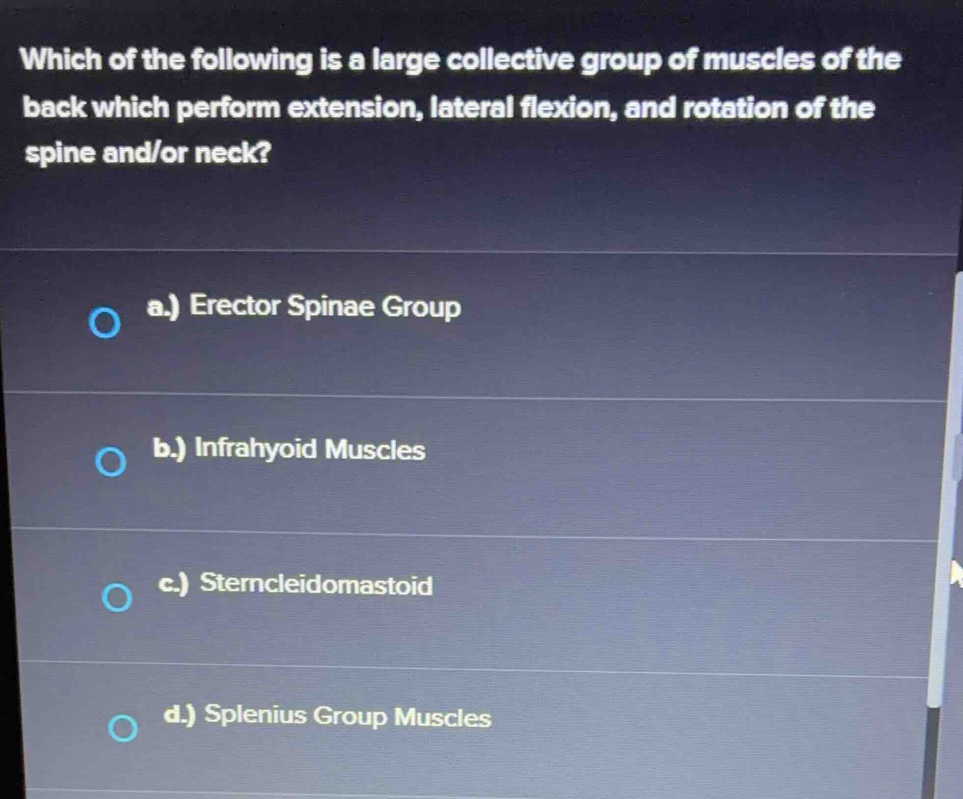 which of the following is a large collective group of muscles of the ba…
