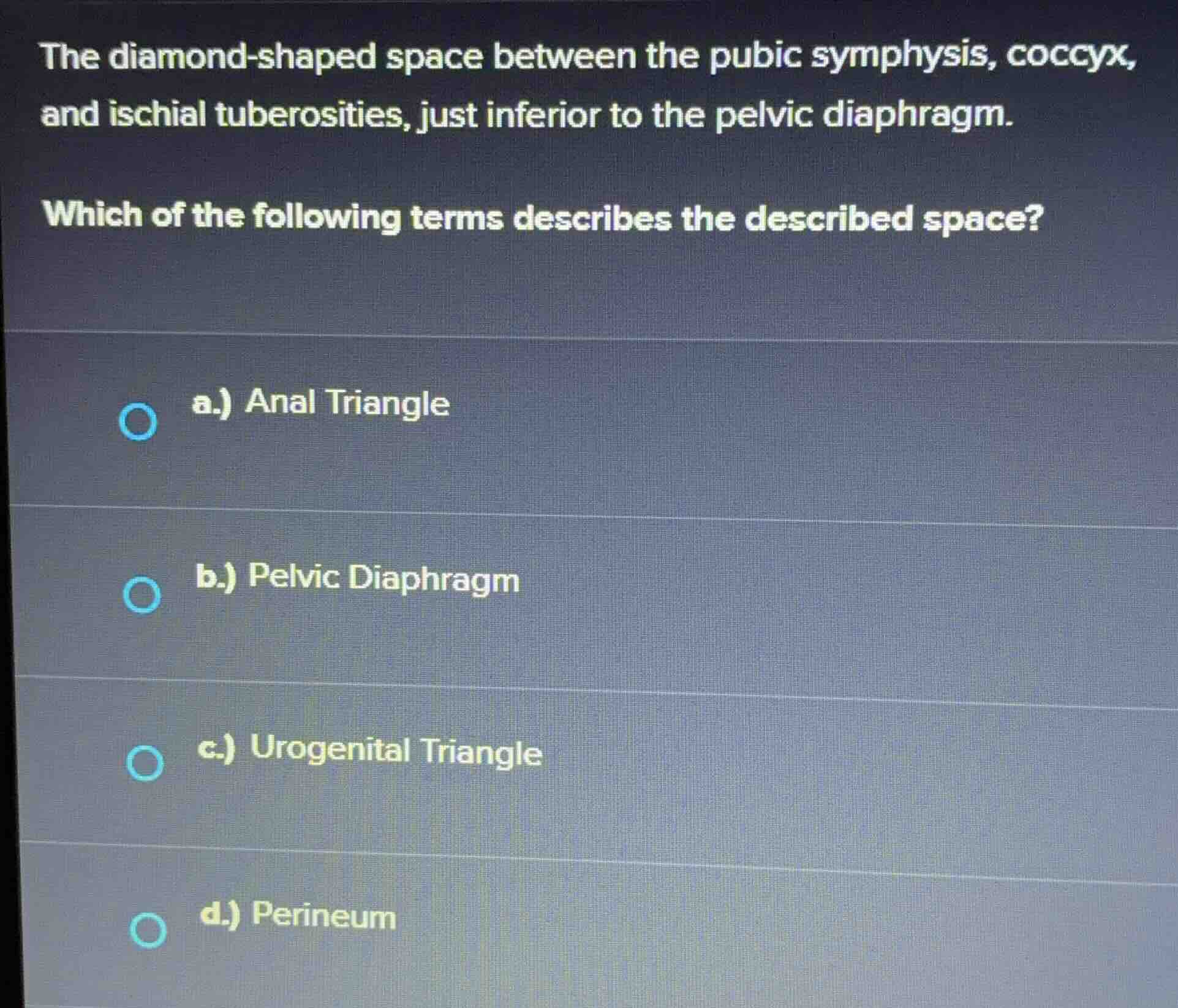 the diamond-shaped space between the pubic symphysis, coccyx, and ischi…