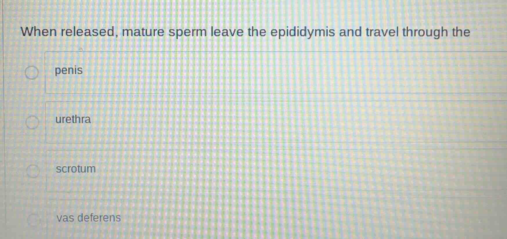 when released, mature sperm leave the epididymis and travel through the…