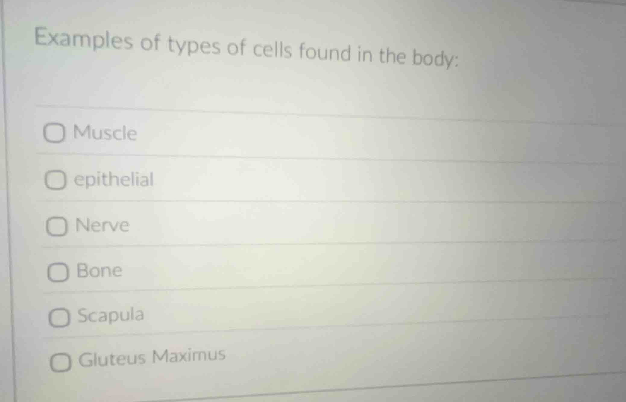 examples of types of cells found in the body: muscle epithelial nerve b…