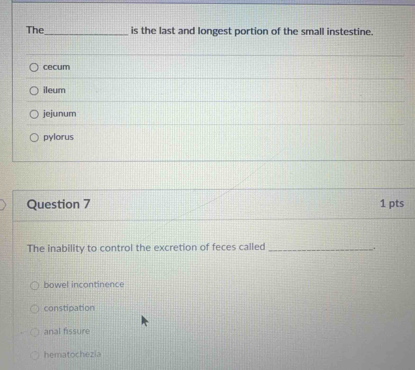 the _______________ is the last and longest portion of the small intest…
