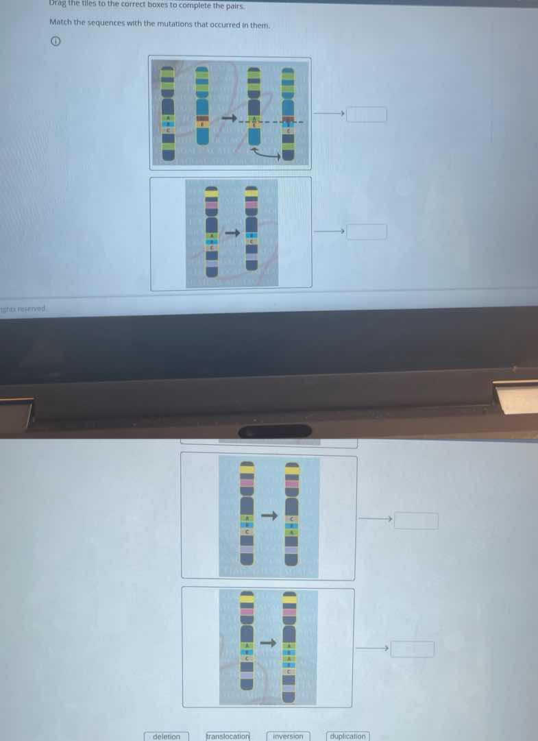 drag the tiles to the correct boxes to complete the pairs. match the se…