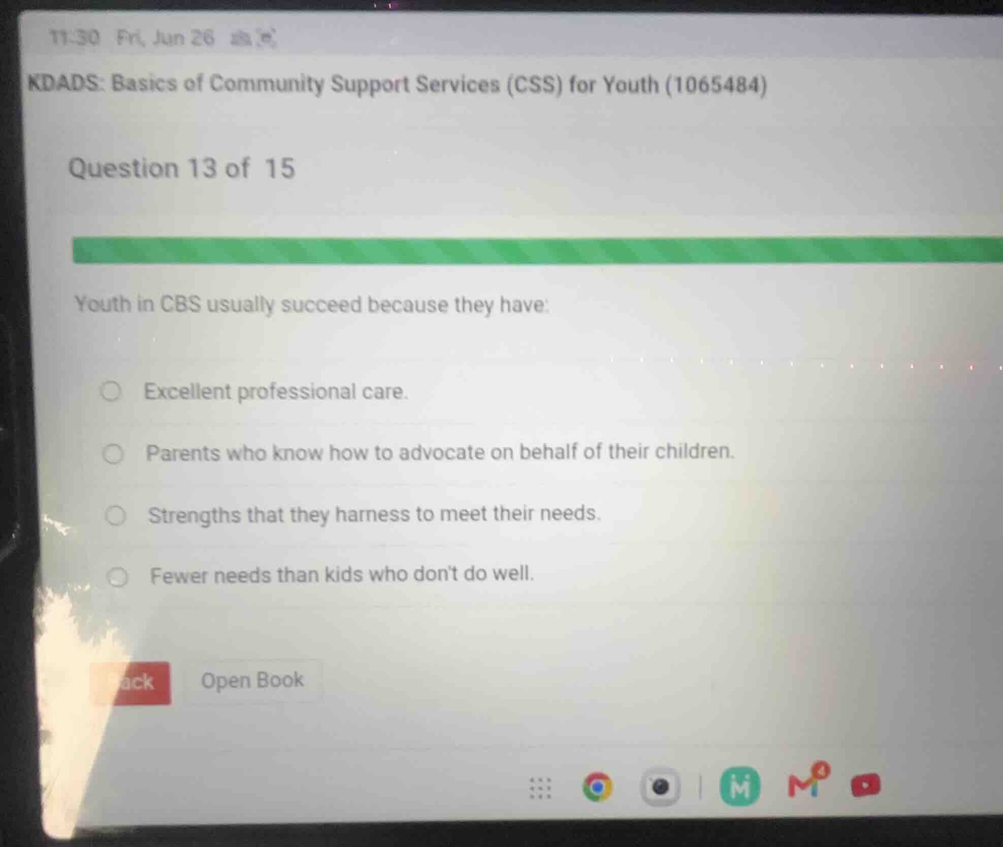 youth in cbs usually succeed because they have: excellent professional …