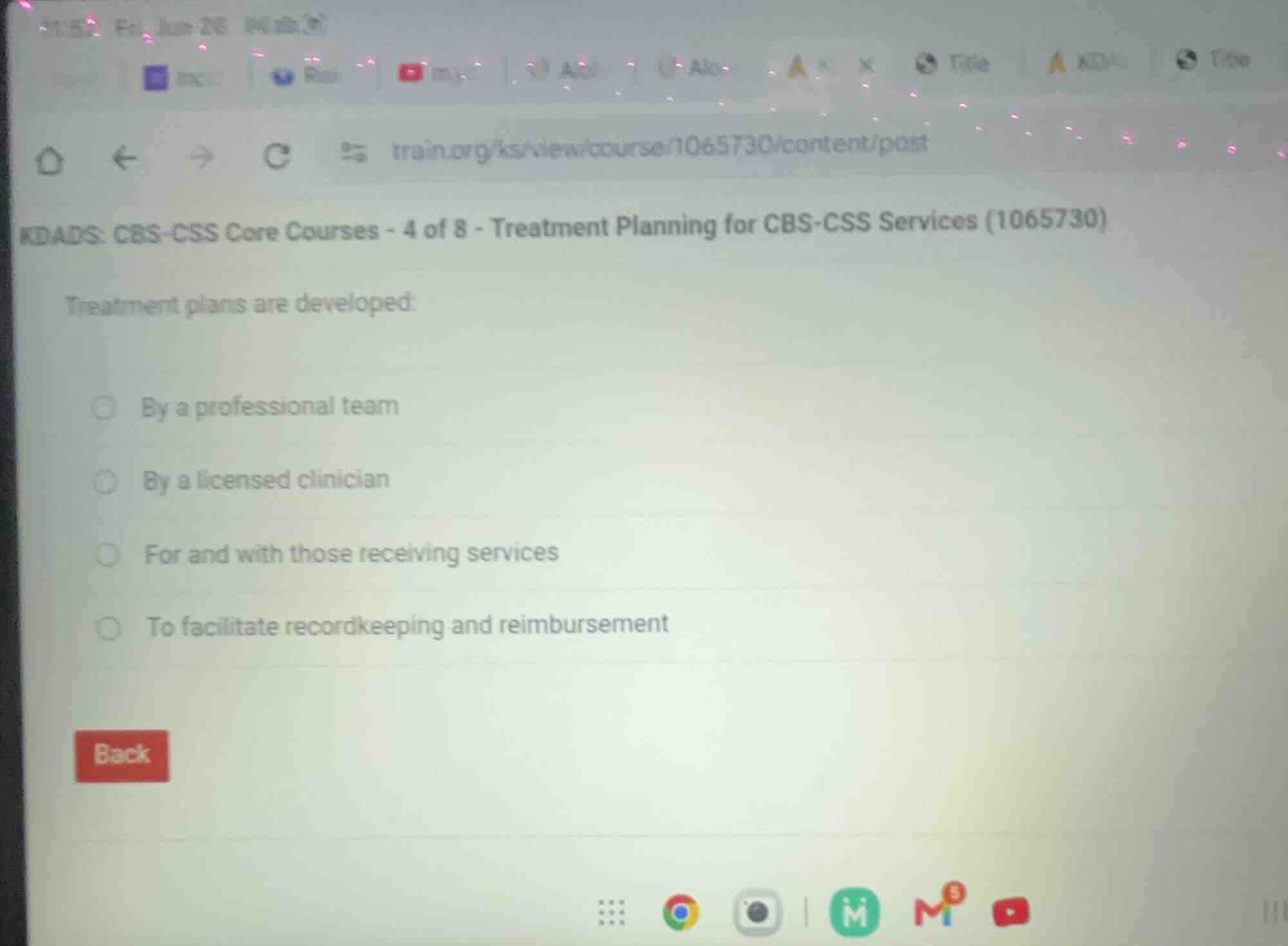 treatment plans are developed: by a professional team by a licensed cli…