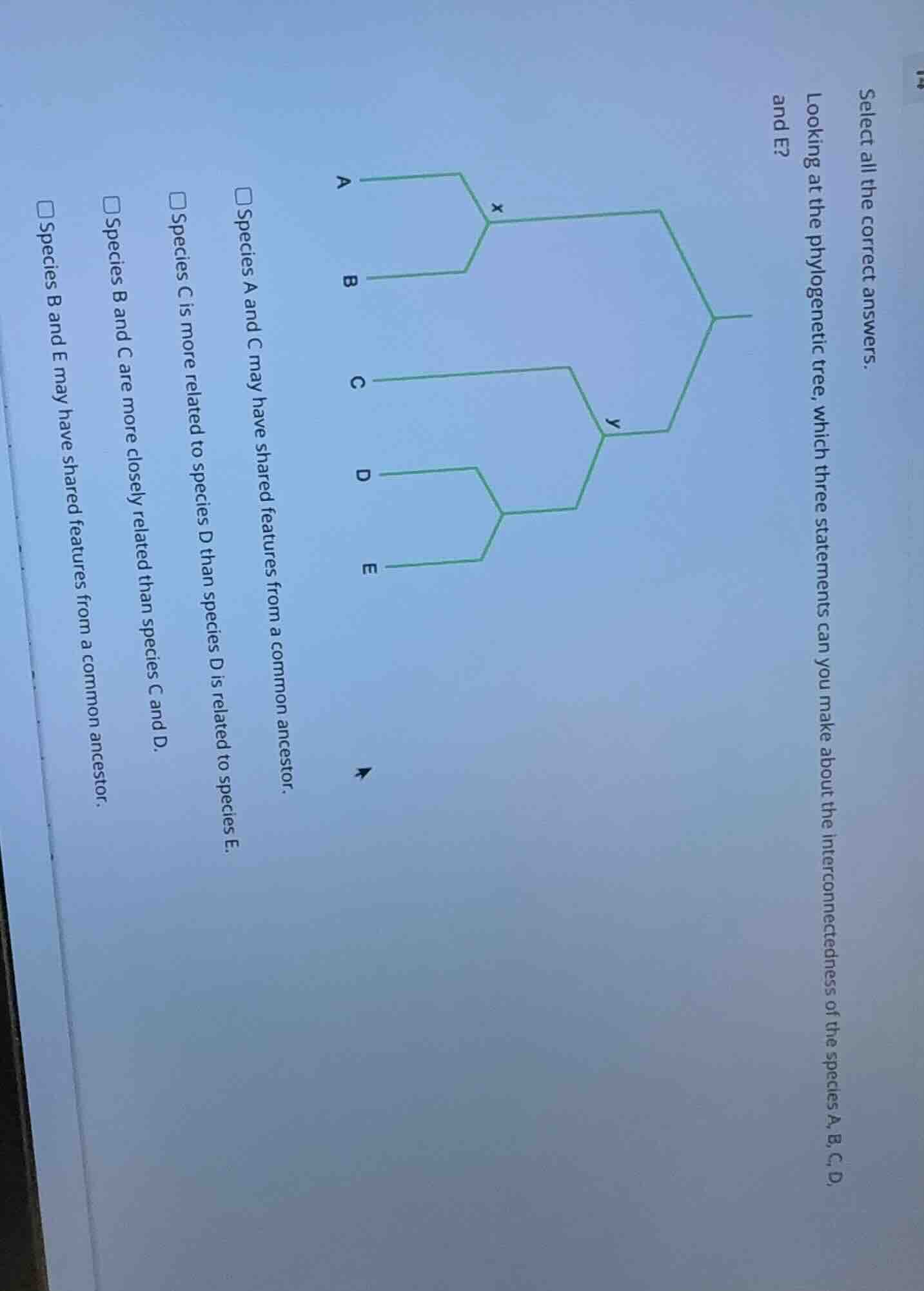 select all the correct answers. looking at the phylogenetic tree, which…