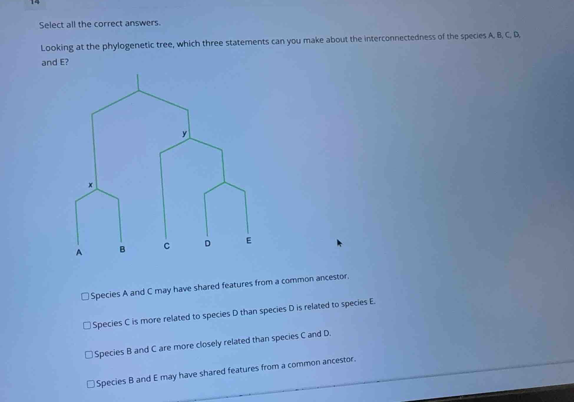 select all the correct answers. looking at the phylogenetic tree, which…
