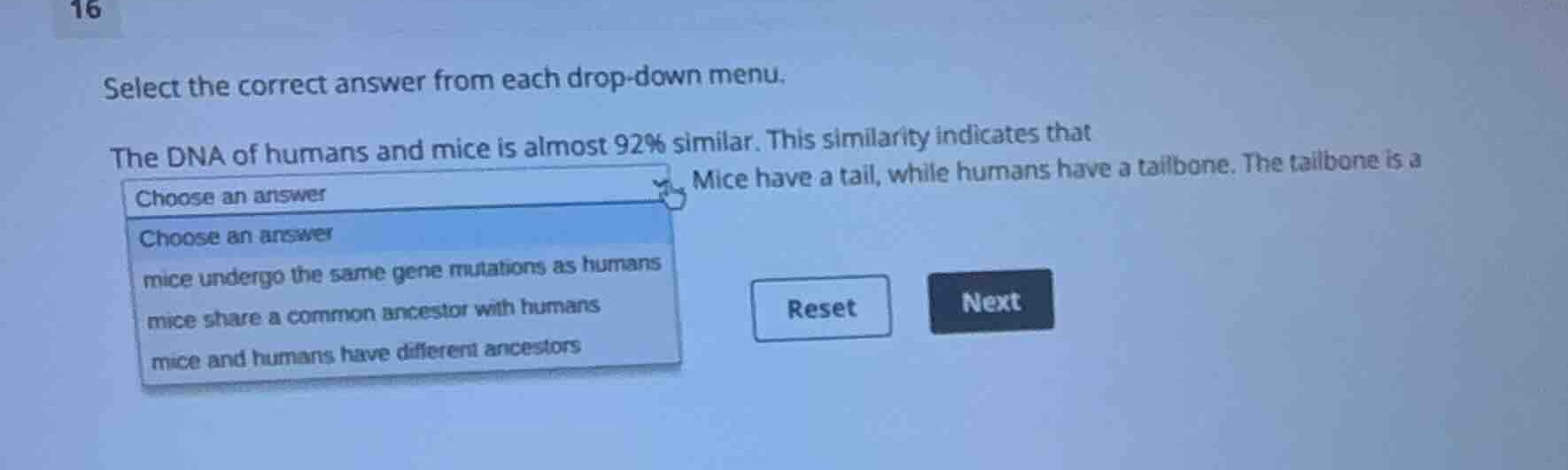select the correct answer from each drop-down menu. the dna of humans a…