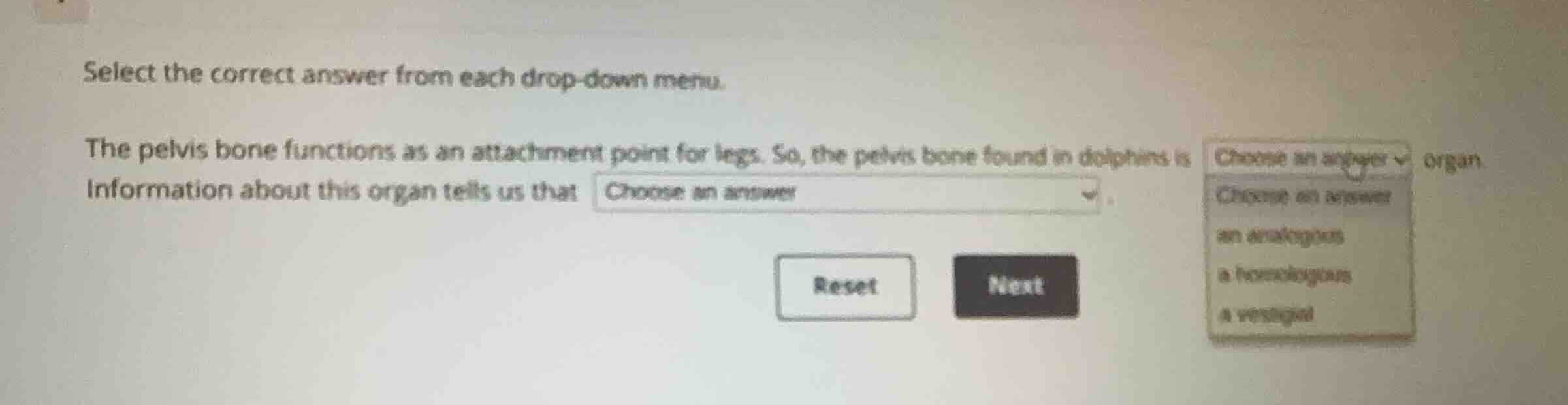 select the correct answer from each drop-down menu. the pelvis bone fun…