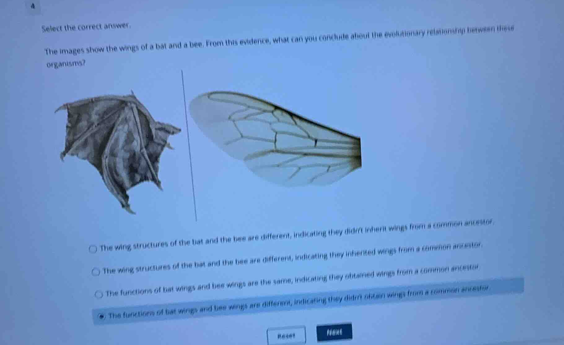 select the correct answer. the images show the wings of a bat and a bee…