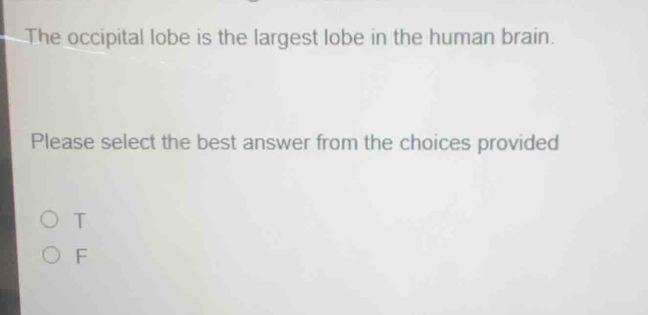 the occipital lobe is the largest lobe in the human brain. please selec…